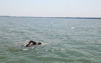 Balaton-átúszástól a Balaton-végigúszásig