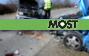 Szarvast gázolt egy kisbusz a 61-es úton