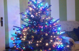 Lackó & Dius karácsonyfája