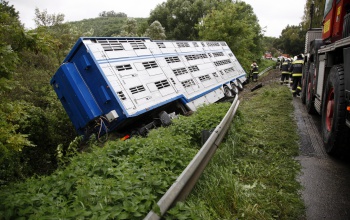 Felborult egy kamion a 68-as számú főúton