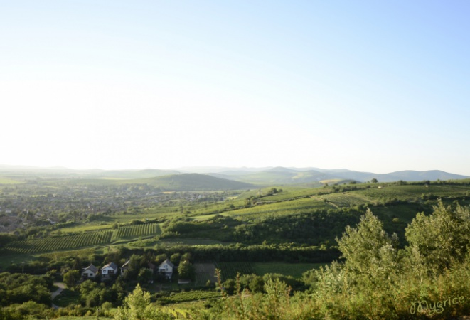 A világosság