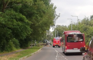 Kidőlt fa torlaszolja el az utat a Cseri úton - Videó és fotók