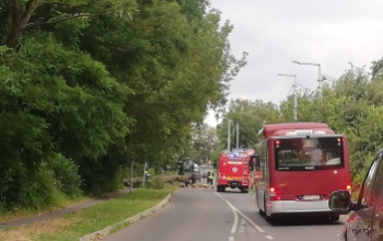 Kidőlt fa torlaszolja el az utat a Cseri úton - Videó és fotók