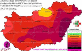 Harmadfokú riasztás parlagfű miatt Kaposváron