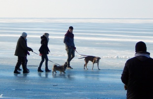 Fagyban is van élet a Balatonon