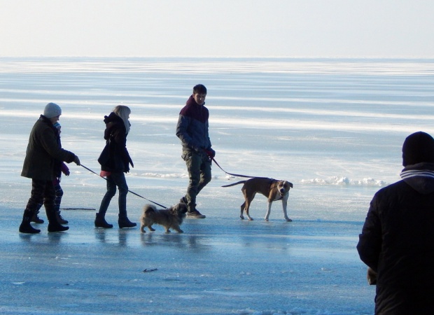Fagyban is van élet a Balatonon