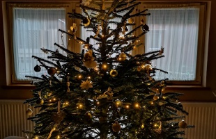 Polgárdiák karácsonyfája