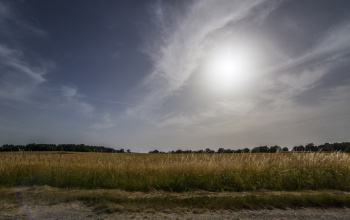 Újra berobban a kánikula, melegszik a levegő