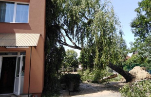 Somogyi tűzoltók is segítettek a bajba jutott szabolcsi településeken