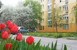 Borúsabban kezdődik a hét, de aztán...