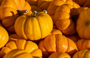 Őszi vitaminbombák: így erősítsük az immunrendszerünk a hűvös, esős napokra