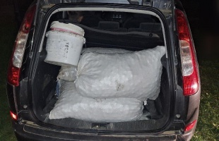 Menekülés közben kapták el a somogytúri diótolvajokat