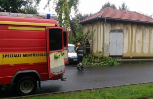 Fa dőlt egy parkoló autóra