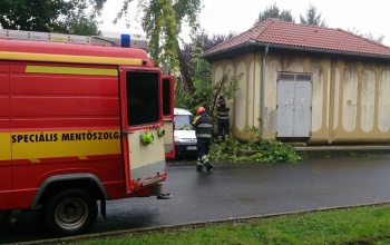 Fa dőlt egy parkoló autóra
