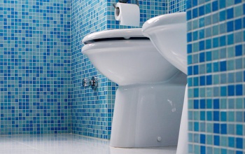 Ma van a WC világnapja