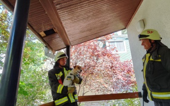 Hétvégi tűzoltói beavatkozások