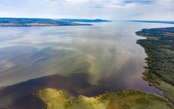 Együtt dolgoznak a Balaton vízminőségének megmentésén