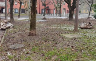 Kaposvár tiszta, rendezett város