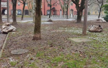 Kaposvár tiszta, rendezett város