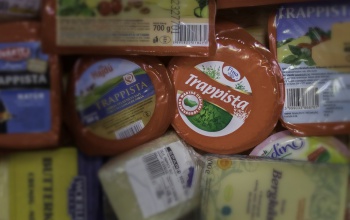 A Fino sajtja lett a legjobb