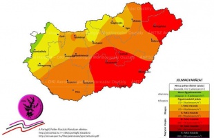 Harmadfokú riasztás a parlagfű miatt