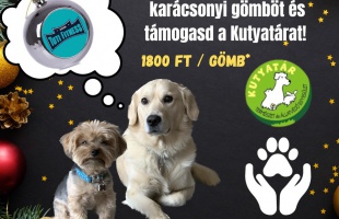 Szebbé tennék az elhagyott állatok karácsonyát