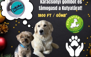Szebbé tennék az elhagyott állatok karácsonyát
