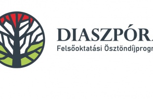 Idén is meghirdetik a Diaszpóra Programot