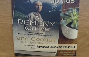 A könyvtár is csatlakozott az Állatbarát Olvasó Kihíváshoz