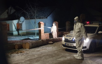 Brutális módon ölte meg az apját egy balatonszemesi férfi