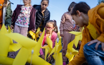 Nárciszültetéssel hívják fel a figyelmet a segítségnyújtás fontosságára