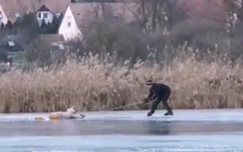 Híres balatonfüredi cukrász mentette ki a nőt, aki alatt beszakadt a jég Tihanyban