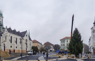 Megérkezett Kaposvár leendő karácsonyfája!