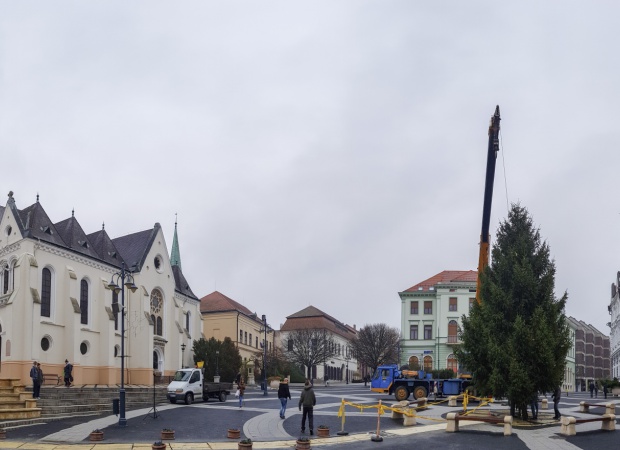 Megérkezett Kaposvár leendő karácsonyfája!