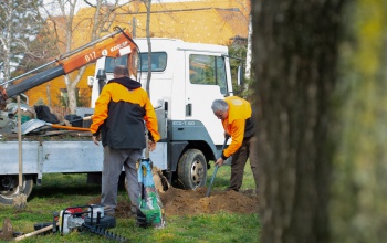 Faültetéssel zöldül Kaposvár – A város is csatlakozott a Nemzeti Faültetés Napjához