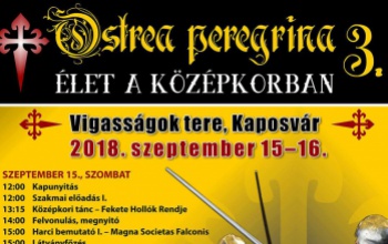 Hétvégén Ostrea peregrina 3. a Vigasságok terén