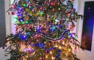 Pálmai és Tóth család karácsonyfája