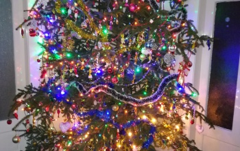 Pálmai és Tóth család karácsonyfája