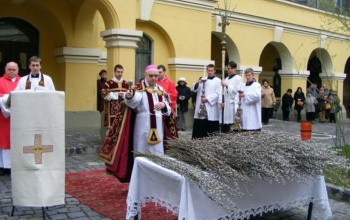A virágvasárnapi szentelt barka megvéd az elemi csapások és a betegségek ellen is