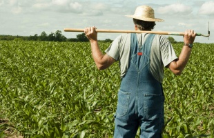 Idén is segít az agrárkamara az egységes kérelmek benyújtásában