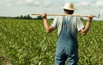 Idén is segít az agrárkamara az egységes kérelmek benyújtásában