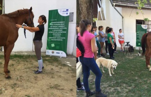 Határon átívelő pályázatot nyert a Szent István Egyetem Kaposvári Campusa