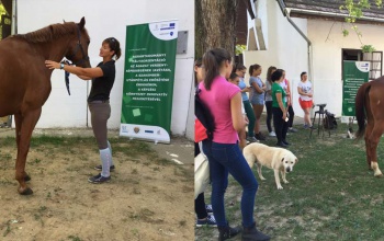 Határon átívelő pályázatot nyert a Szent István Egyetem Kaposvári Campusa