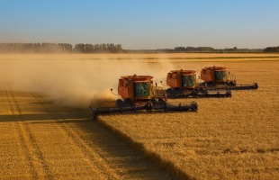 Jövő év elején indulnak az új agrár- és vidékfejlesztési pályázatok