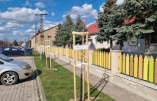 Idén Somogy volt a legaktívabb a településfásítási programban