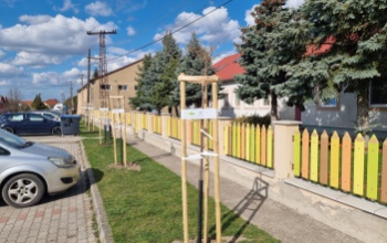 Idén Somogy volt a legaktívabb a településfásítási programban