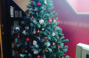 Oroszlán család karácsonyfája!