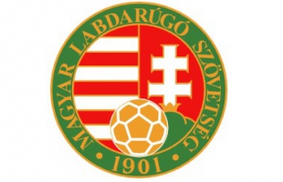 MLSZ-szervezet Kaposváron