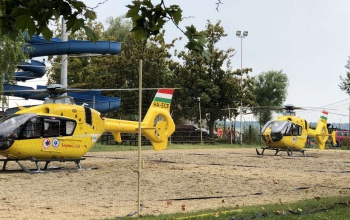 Fába csapott a villám, két embert újra kellett éleszteni a Balatonon