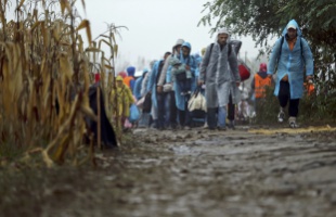 Közel százan akartak illegálisan bejutni hazánkba